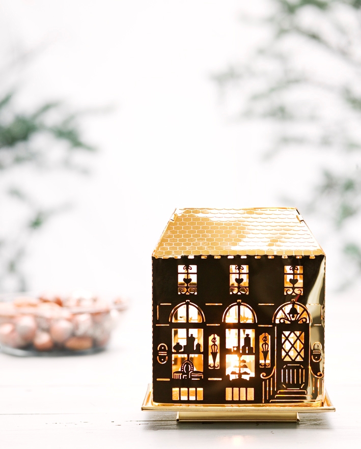 Light Housing – Gold  (*Pre order! Delivery beginning of December)