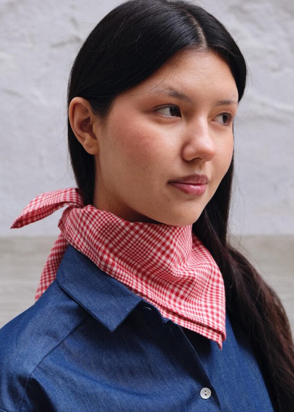 Handkerchief - Red Plaid