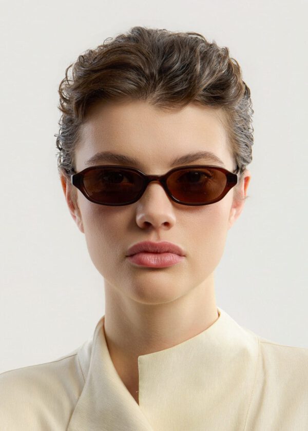 Corlin Sunglasses - Aidan/ Brown Brown